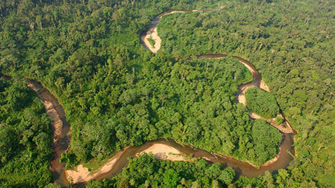 Expedición científica al parque nacional Yasuní (Amazonas ecuatoriana)