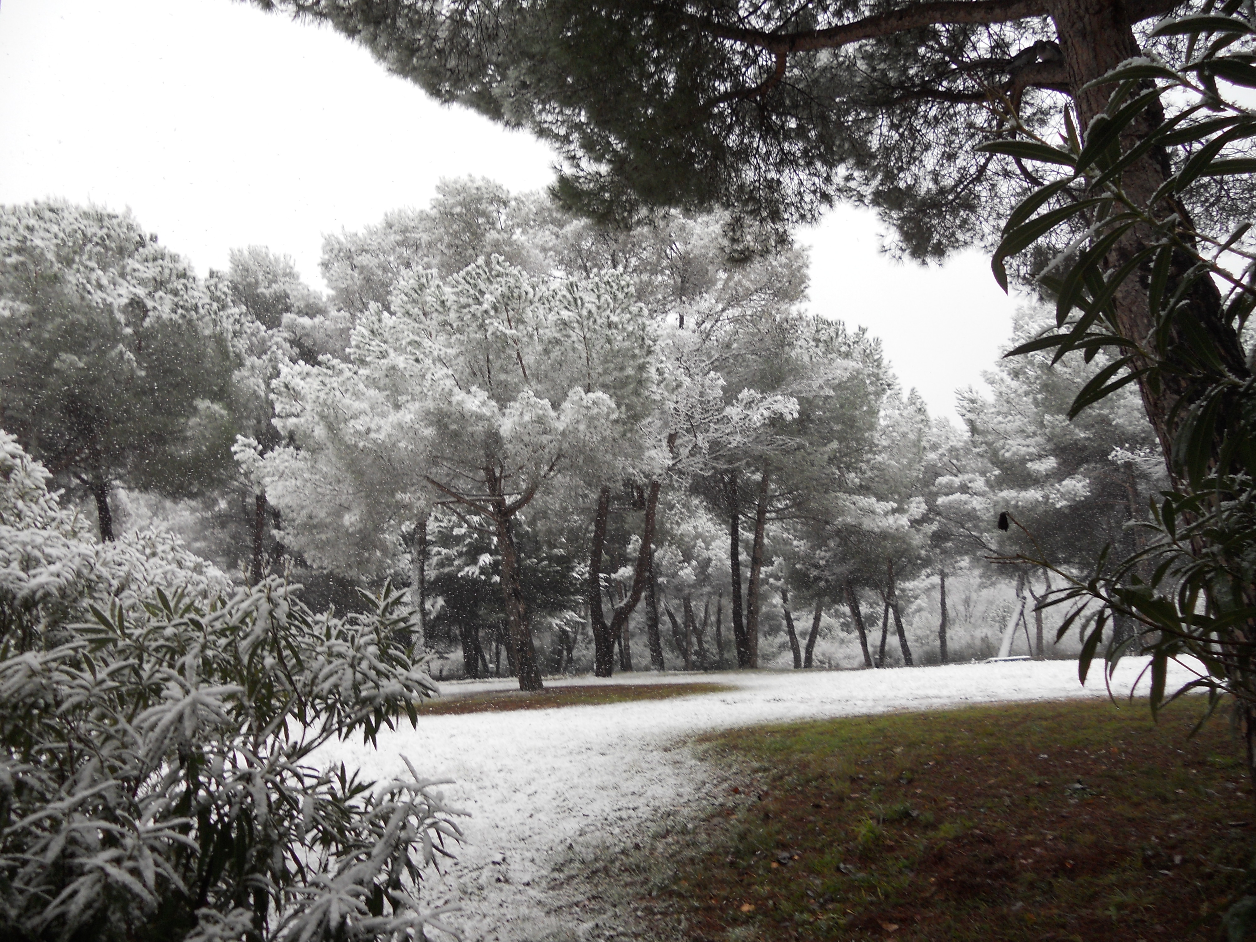 Neu al campus de la UAB