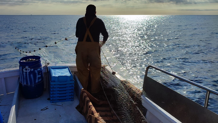Pescador en una barca a mar obert d'esquenes agafant una xarxa de pesca